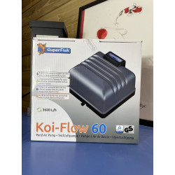 Koi-Flow 60